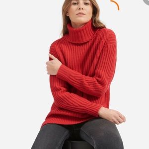 Everlane Soft Wool Oversized Turtleneck Sweater